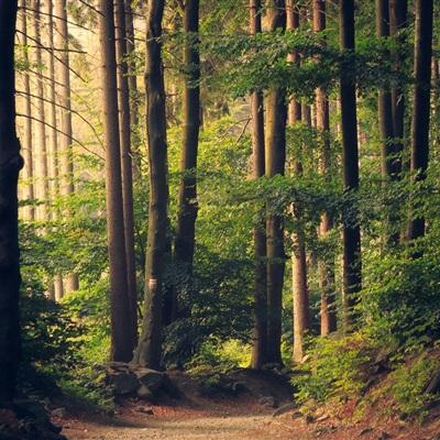 爱体育APP下载手机版